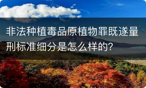 非法种植毒品原植物罪既遂量刑标准细分是怎么样的？