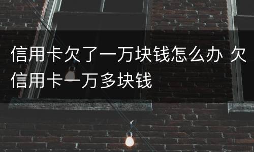 信用卡欠了一万块钱怎么办 欠信用卡一万多块钱