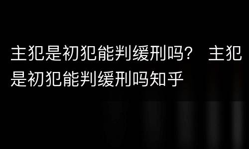 主犯是初犯能判缓刑吗？ 主犯是初犯能判缓刑吗知乎