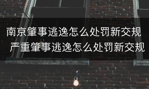 南京肇事逃逸怎么处罚新交规 严重肇事逃逸怎么处罚新交规