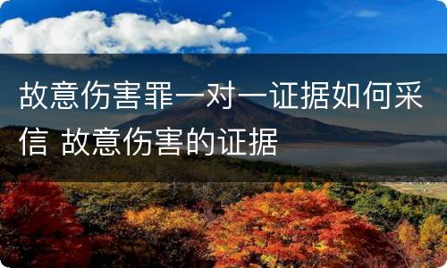 故意伤害罪一对一证据如何采信 故意伤害的证据