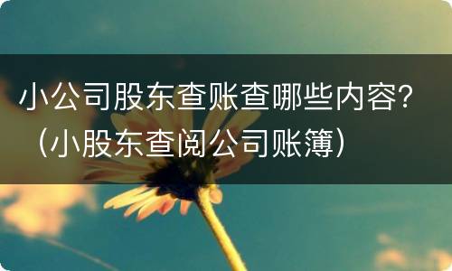 小公司股东查账查哪些内容？（小股东查阅公司账簿）