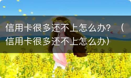 信用卡很多还不上怎么办？（信用卡很多还不上怎么办）