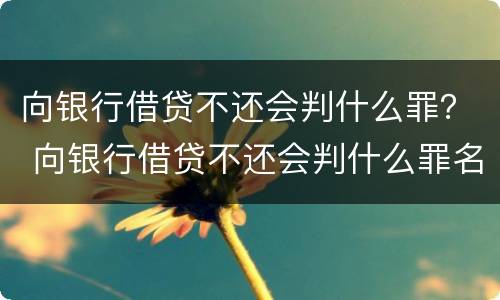 向银行借贷不还会判什么罪？ 向银行借贷不还会判什么罪名