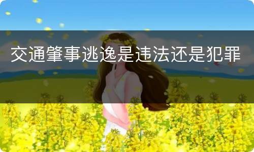 交通肇事逃逸是违法还是犯罪