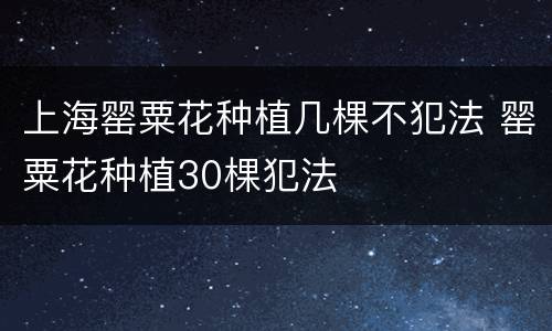 上海罂粟花种植几棵不犯法 罂粟花种植30棵犯法