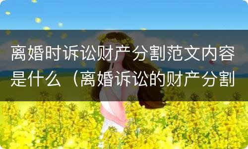 离婚时诉讼财产分割范文内容是什么（离婚诉讼的财产分割）