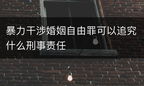 暴力干涉婚姻自由罪可以追究什么刑事责任