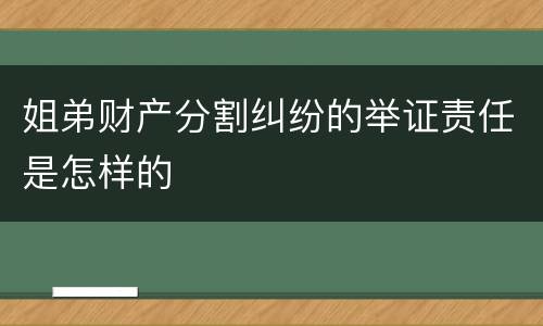姐弟财产分割纠纷的举证责任是怎样的
