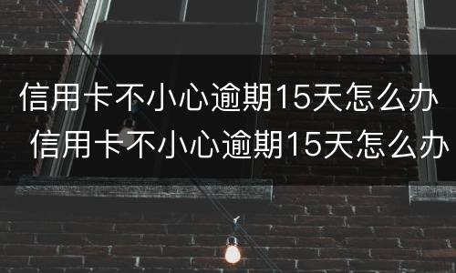 信用卡不小心逾期15天怎么办 信用卡不小心逾期15天怎么办呢