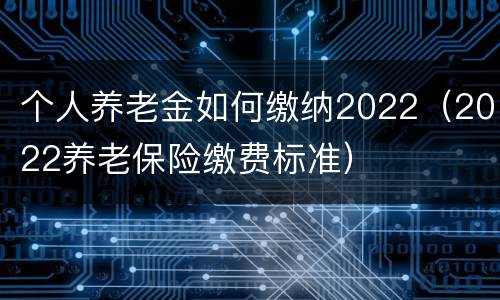 个人养老金如何缴纳2022（2022养老保险缴费标准）