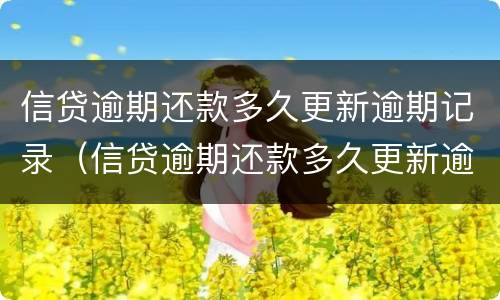 信贷逾期还款多久更新逾期记录（信贷逾期还款多久更新逾期记录呢）
