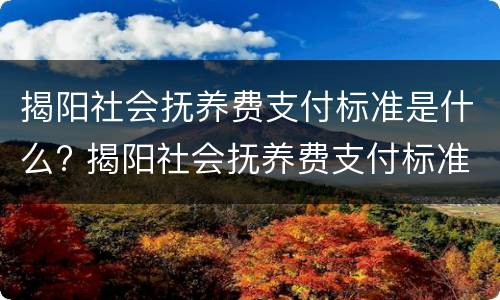 揭阳社会抚养费支付标准是什么? 揭阳社会抚养费支付标准是什么样的
