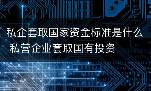 私企套取国家资金标准是什么 私营企业套取国有投资