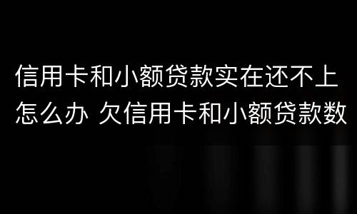 信用卡和小额贷款实在还不上怎么办 欠信用卡和小额贷款数目巨大还不了怎么办