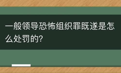 一般领导恐怖组织罪既遂是怎么处罚的？