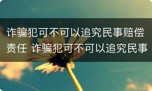 诈骗犯可不可以追究民事赔偿责任 诈骗犯可不可以追究民事赔偿责任呢