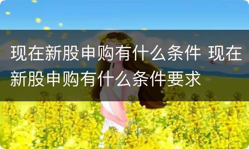 现在新股申购有什么条件 现在新股申购有什么条件要求