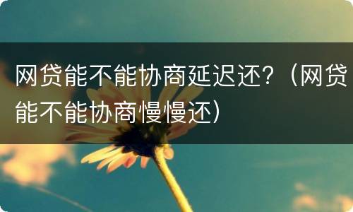 网贷能不能协商延迟还?（网贷能不能协商慢慢还）