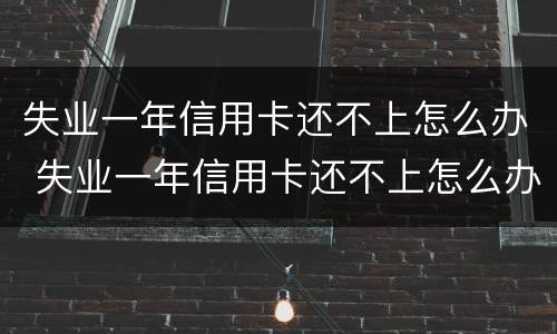 失业一年信用卡还不上怎么办 失业一年信用卡还不上怎么办呀