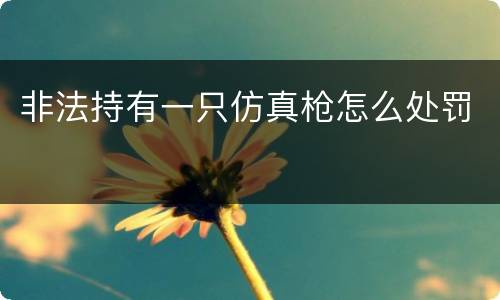 非法持有一只仿真枪怎么处罚