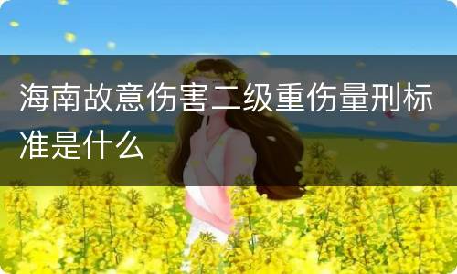 海南故意伤害二级重伤量刑标准是什么