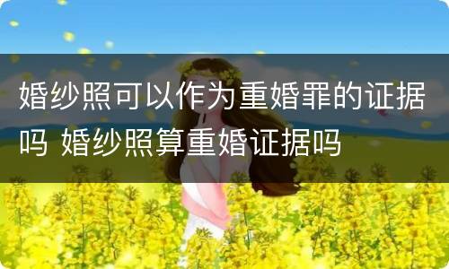 婚纱照可以作为重婚罪的证据吗 婚纱照算重婚证据吗