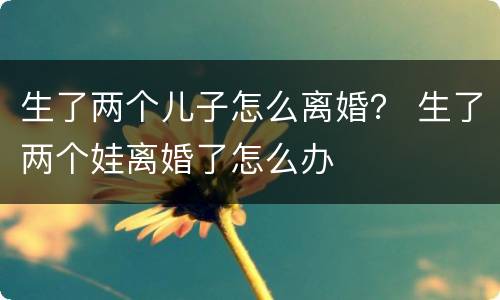 生了两个儿子怎么离婚？ 生了两个娃离婚了怎么办