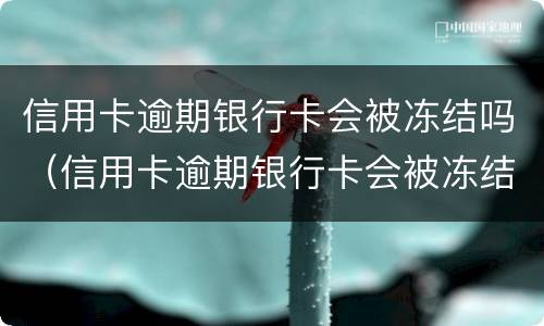 信用卡逾期银行卡会被冻结吗（信用卡逾期银行卡会被冻结吗怎么解冻）