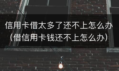 信用卡借太多了还不上怎么办（借信用卡钱还不上怎么办）