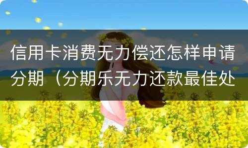 信用卡消费无力偿还怎样申请分期（分期乐无力还款最佳处理方法）