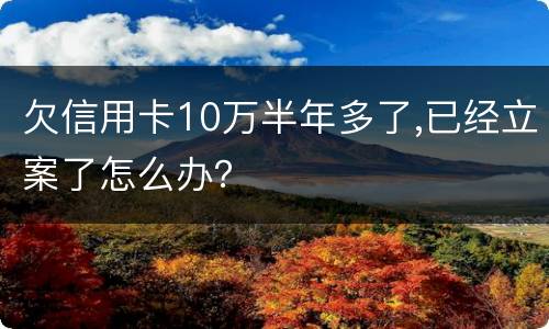 欠信用卡10万半年多了,已经立案了怎么办？