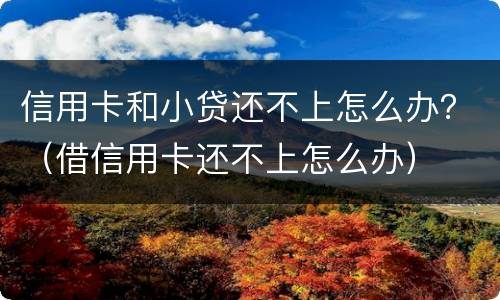 信用卡和小贷还不上怎么办？（借信用卡还不上怎么办）