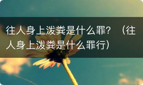 往人身上泼粪是什么罪？（往人身上泼粪是什么罪行）