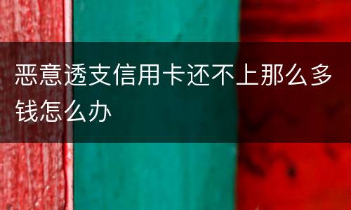 恶意透支信用卡还不上那么多钱怎么办