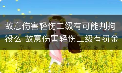 故意伤害轻伤二级有可能判拘役么 故意伤害轻伤二级有罚金吗