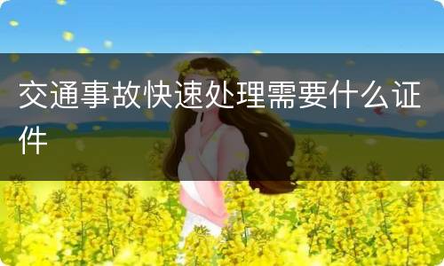 交通事故快速处理需要什么证件