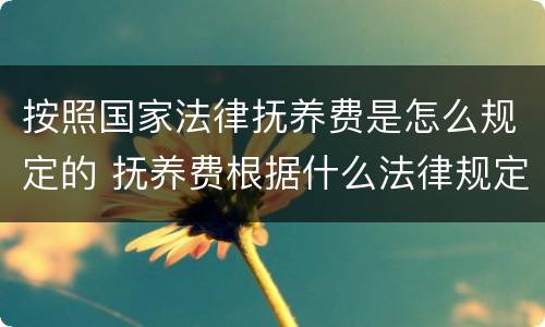按照国家法律抚养费是怎么规定的 抚养费根据什么法律规定