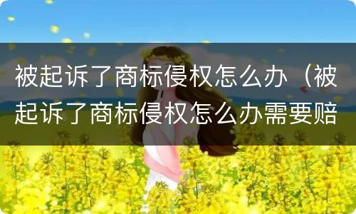 被起诉了商标侵权怎么办（被起诉了商标侵权怎么办需要赔偿）