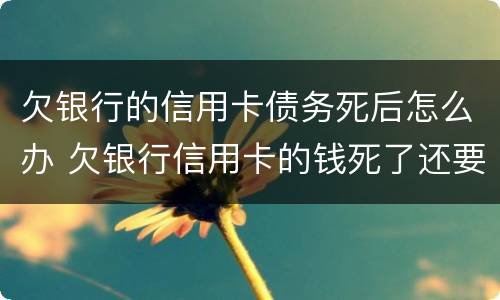 欠银行的信用卡债务死后怎么办 欠银行信用卡的钱死了还要还吗