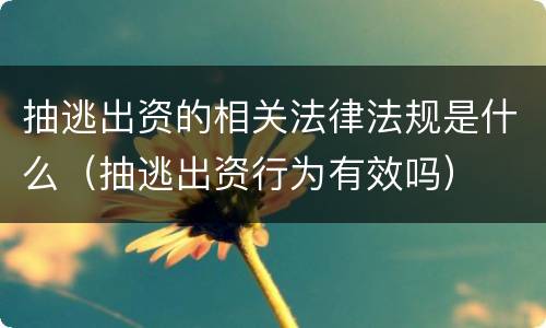 抽逃出资的相关法律法规是什么（抽逃出资行为有效吗）