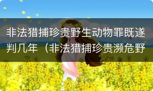 非法猎捕珍贵野生动物罪既遂判几年（非法猎捕珍贵濒危野生动物罪量刑标准）