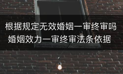 根据规定无效婚姻一审终审吗 婚姻效力一审终审法条依据