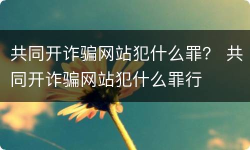 共同开诈骗网站犯什么罪？ 共同开诈骗网站犯什么罪行