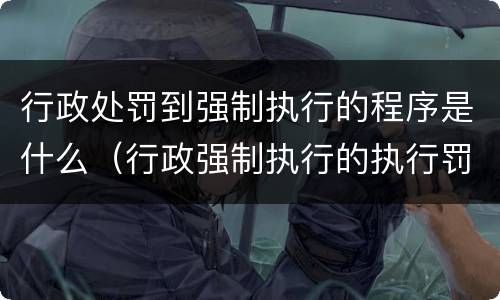 行政处罚到强制执行的程序是什么（行政强制执行的执行罚有哪些）