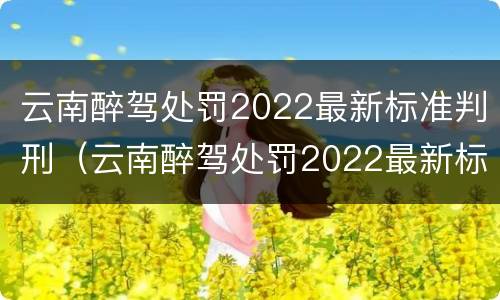 云南醉驾处罚2022最新标准判刑（云南醉驾处罚2022最新标准判刑多少）