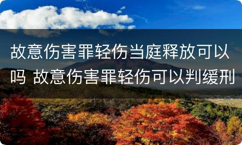 故意伤害罪轻伤当庭释放可以吗 故意伤害罪轻伤可以判缓刑吗