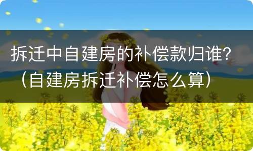 拆迁中自建房的补偿款归谁？（自建房拆迁补偿怎么算）