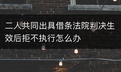 二人共同出具借条法院判决生效后拒不执行怎么办