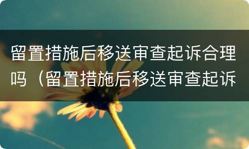 留置措施后移送审查起诉合理吗（留置措施后移送审查起诉合理吗知乎）